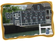 pwimages_dgl_195x_00007.jpg
